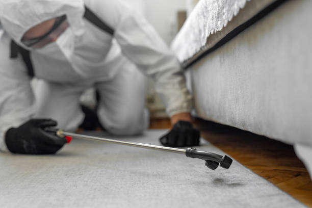 Professional Ant Control technician working in Lake County County, TN